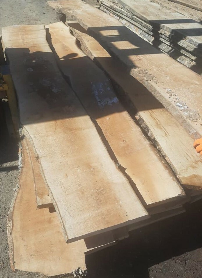 Клён доска необрезная техсушки